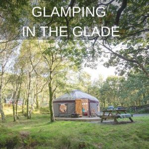 Yurt in the woodland glade at Graig Wen
