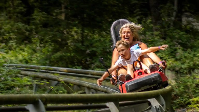Forest coaster ride at Zip World Betws-y-Coed